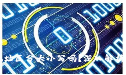 TPWallet收款地址区分大小写吗？深入解析及常见疑问解答